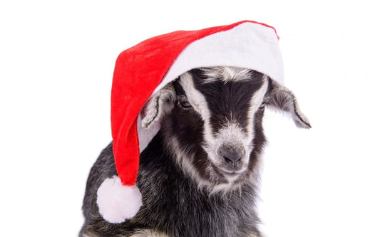 Seasons Bleatings from DB Lab Supplies!