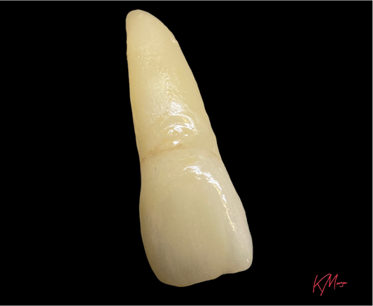 Not Your Run of The Mill: Q&A with Toothworx Lab Founder and Whitepeaks Hyperion User Keith Morgan.